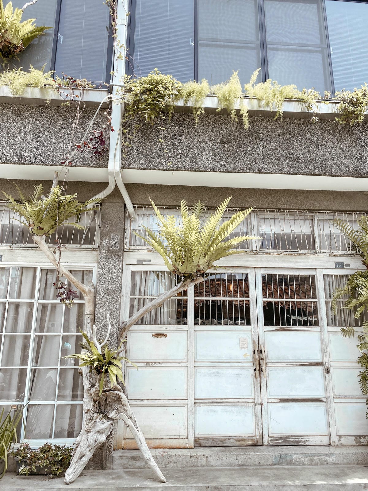 台南美食|木溪 Merci Kitchen 讓我念念不忘的第一名司康(總鋪內用店)2.jpg 台南美食|木溪 Merci Kitchen 讓我念念不忘的第一名司康(總鋪內用店)2.jpg