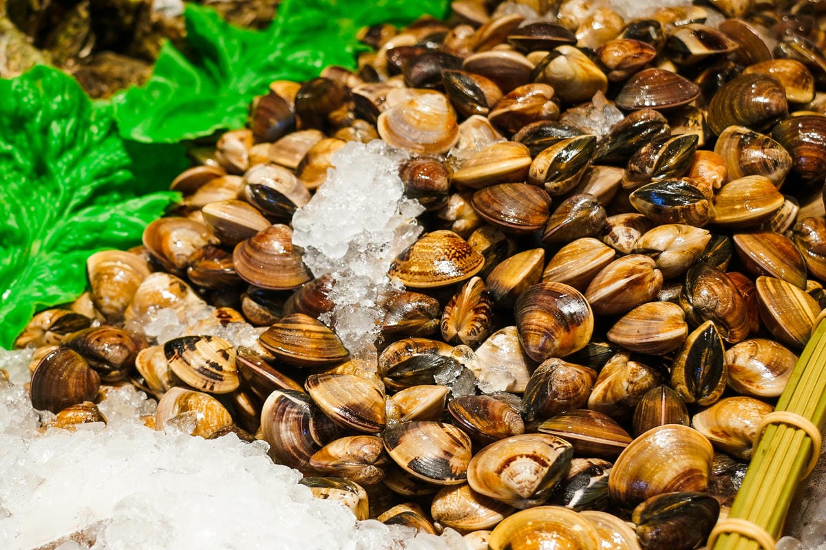 高雄燒肉 虎樂日韓精肉海鮮火烤吃到飽 親子用餐吃飽飽 大魯閣草衙道美食推薦15.JPG