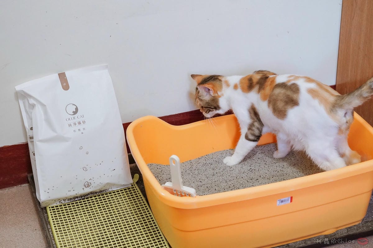 用過就回不去的貓砂！OLLIE CAT愛貓選物純淨礦砂低塵款３４.JPG