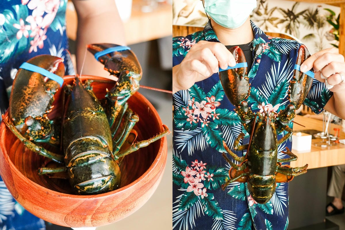 台南火鍋|花花世界鍋物 浮誇海陸鍋 活龍蝦 Prime無骨牛小排 超邪惡鮭魚卵丼飯必點 台南東區最美度假網美風火鍋店14.jpg 台南火鍋|花花世界鍋物 浮誇海陸鍋 活龍蝦 Prime無骨牛小排 超邪惡鮭魚卵丼飯必點 台南東區最美度假網美風火鍋店14.jpg