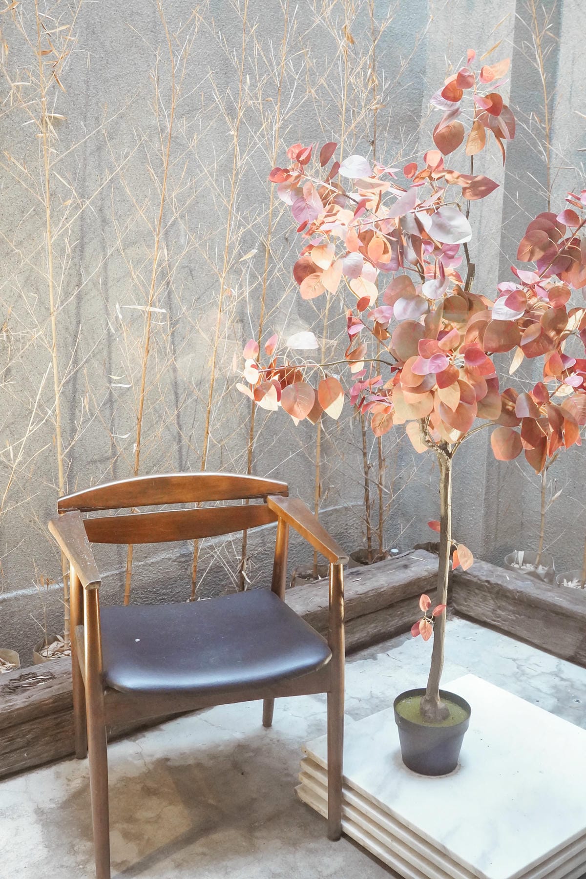 台南中西區美食 熨斗目花珈琲 珈哩 cafe WUDAO 老宅文青建築享用咖哩 水炊鍋物 甜點下午茶 網美風餐廳20.jpg 台南中西區美食 熨斗目花珈琲 珈哩 cafe WUDAO 老宅文青建築享用咖哩 水炊鍋物 甜點下午茶 網美風餐廳20.jpg