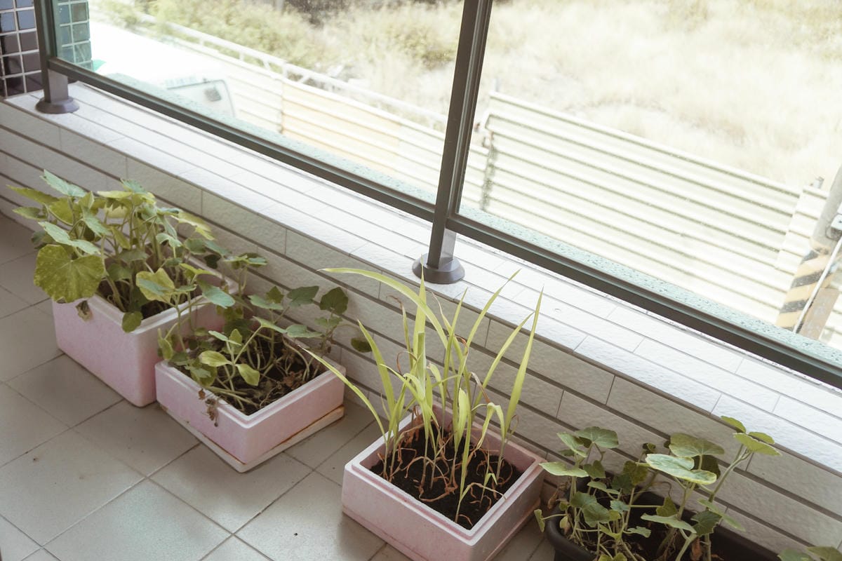 台南善化托嬰推薦 童樂園國際托嬰中心 0-2歲台南托嬰 專業師資 多元主題課程 讓孩子學習成常更快樂53.jpg