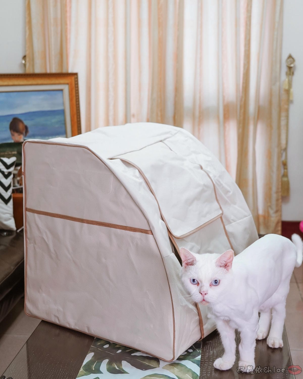 開箱 美極品 真無線好拍棚 小型攝影棚推薦 攝影燈 + 拍照背景 一次擁有7.jpg