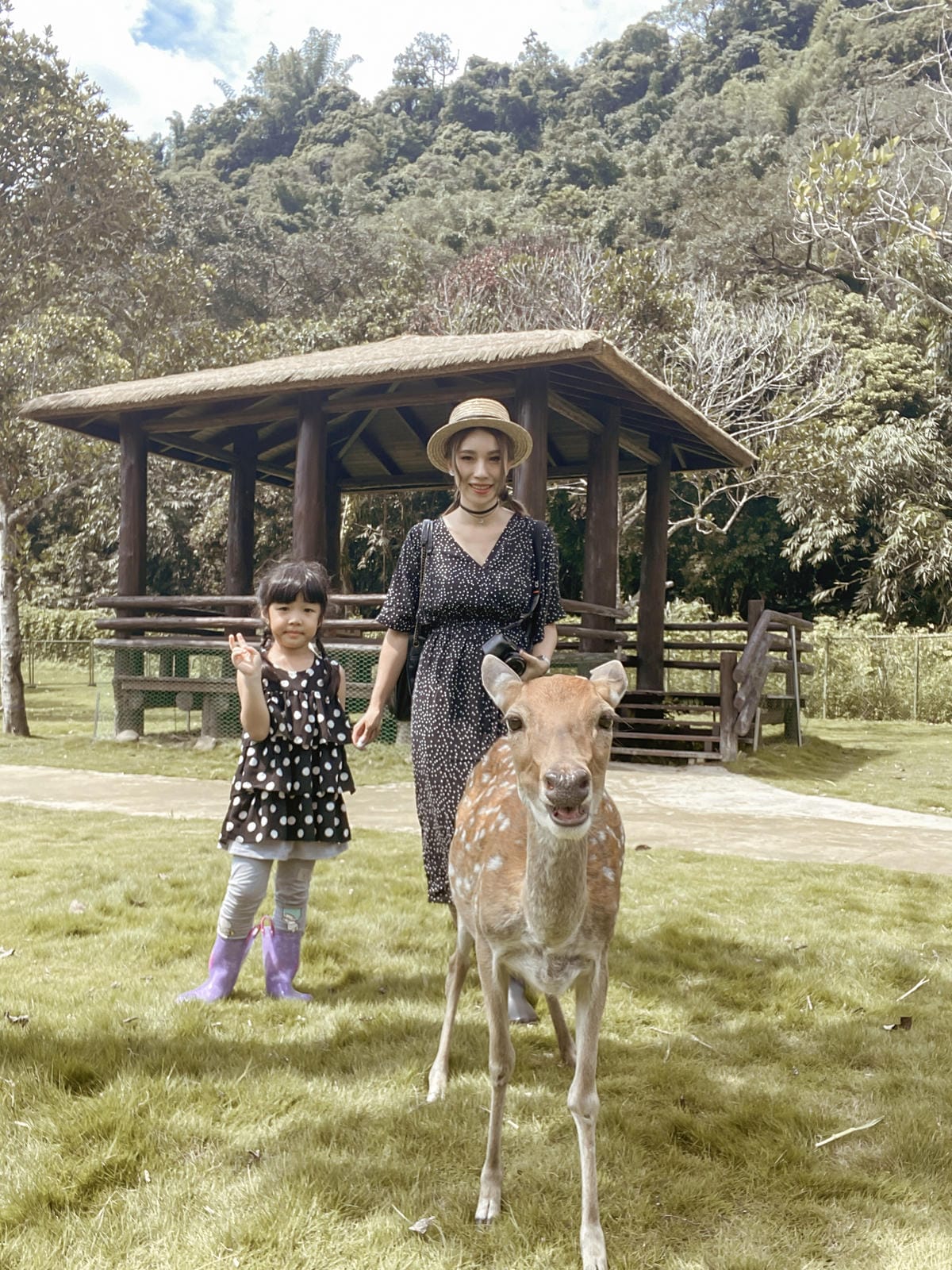 嘉義親子半日遊 阿里山逐鹿部落 嘉義小奈良 近距離餵食梅花鹿 鄒族部落藝術村19.jpg 嘉義親子半日遊 阿里山逐鹿部落 嘉義小奈良 近距離餵食梅花鹿 鄒族部落藝術村19.jpg