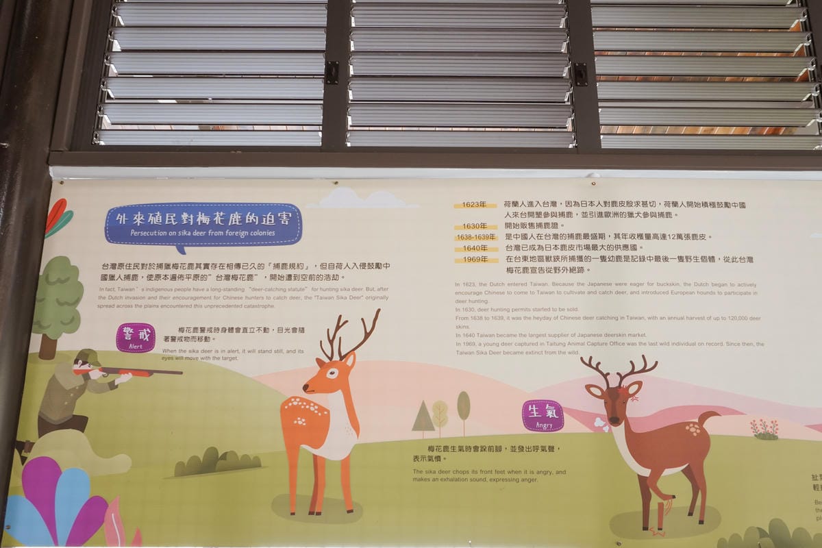 嘉義親子半日遊 阿里山逐鹿部落 嘉義小奈良 近距離餵食梅花鹿 鄒族部落藝術村21.jpg 嘉義親子半日遊 阿里山逐鹿部落 嘉義小奈良 近距離餵食梅花鹿 鄒族部落藝術村21.jpg