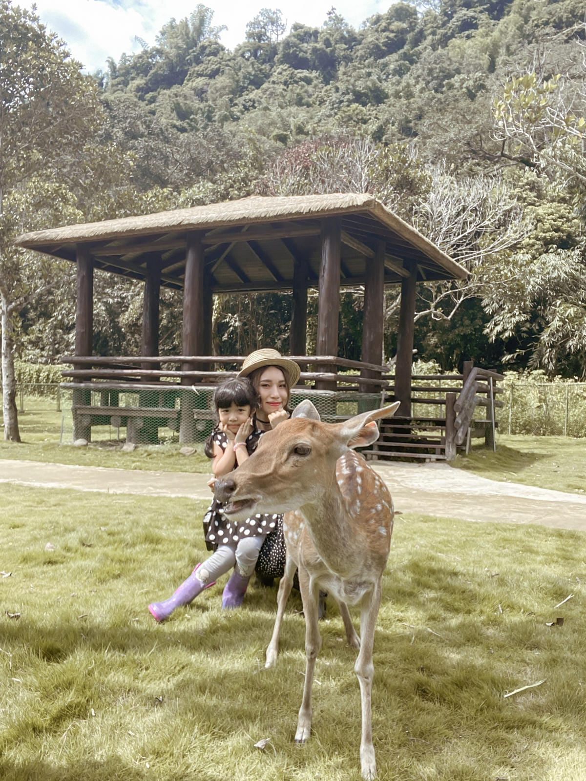 嘉義親子半日遊 阿里山逐鹿部落 嘉義小奈良 近距離餵食梅花鹿 鄒族部落藝術村18.jpg 嘉義親子半日遊 阿里山逐鹿部落 嘉義小奈良 近距離餵食梅花鹿 鄒族部落藝術村18.jpg