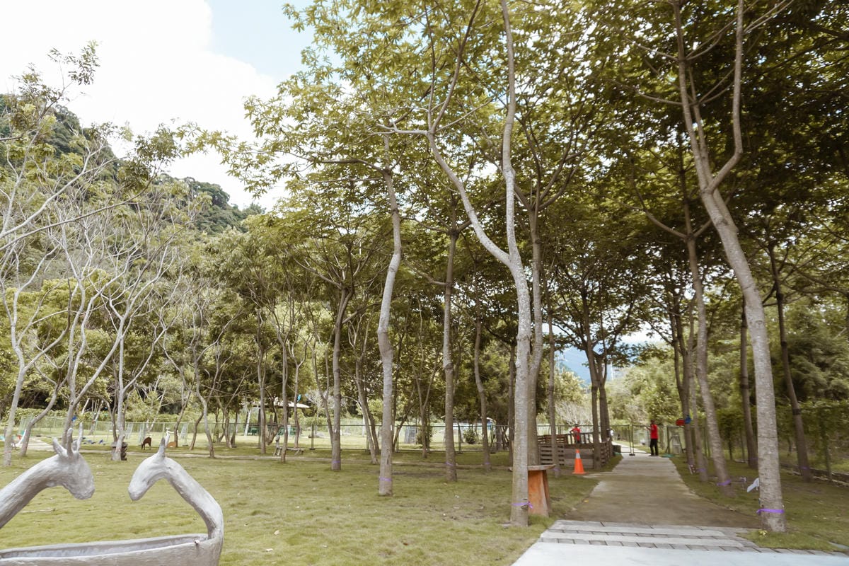 嘉義親子半日遊 阿里山逐鹿部落 嘉義小奈良 近距離餵食梅花鹿 鄒族部落藝術村3.jpg 嘉義親子半日遊 阿里山逐鹿部落 嘉義小奈良 近距離餵食梅花鹿 鄒族部落藝術村3.jpg