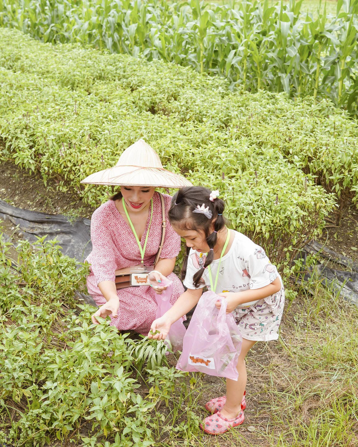 屏東萬丹 竹林有機農場 親子半日遊推薦 親子椿康節農村體驗16.jpg