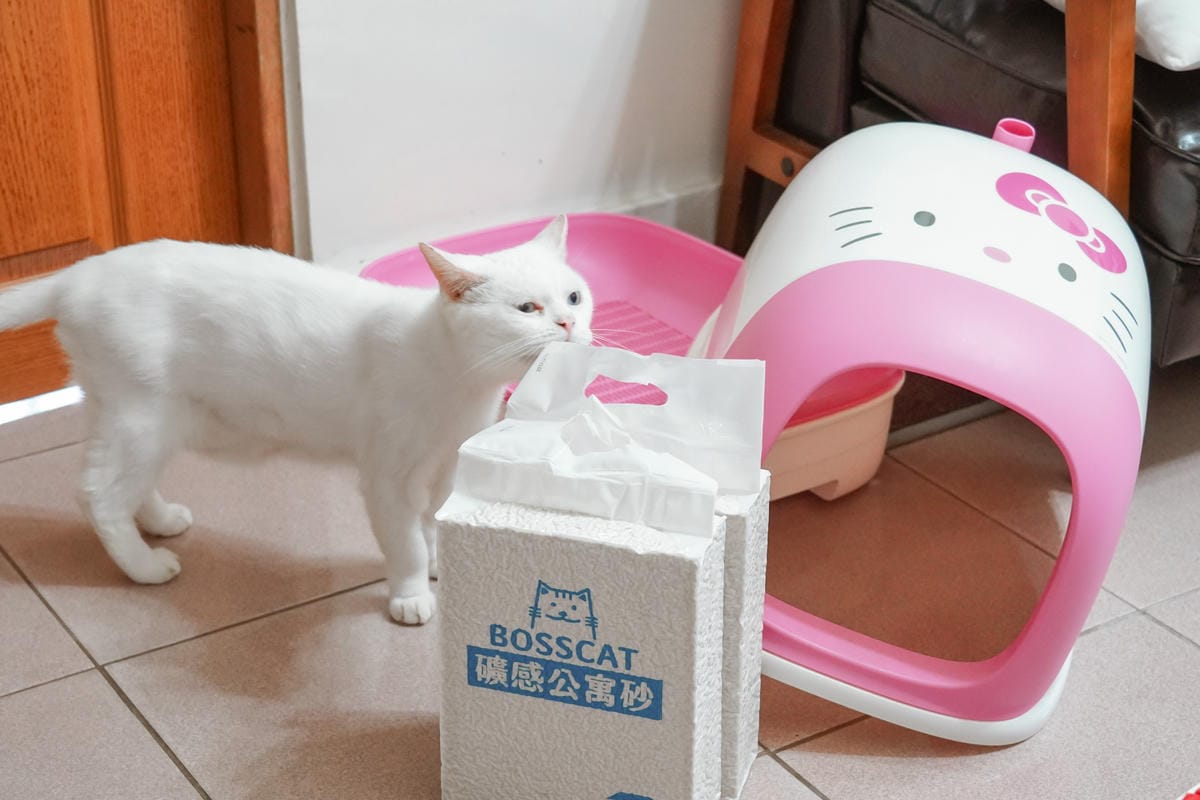 室內養貓首選貓砂貓老闆 礦感公寓砂 凝結力強 可沖馬桶的豆腐砂4.jpg
