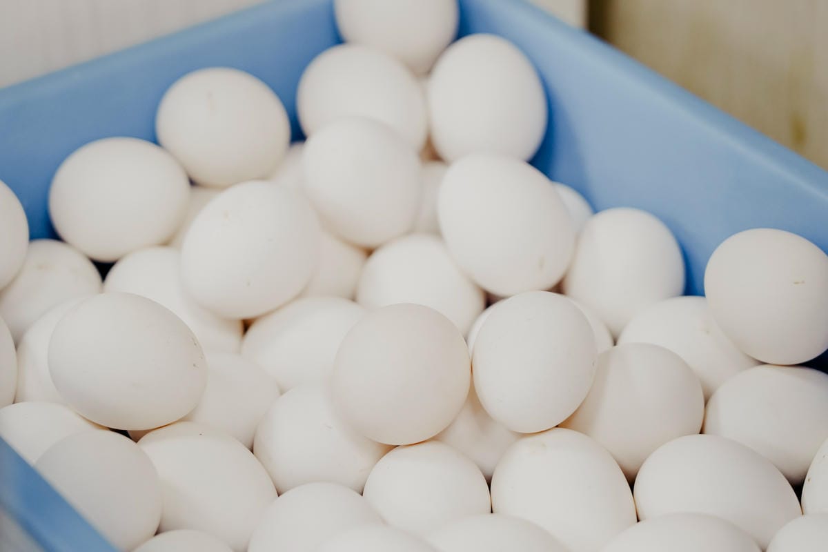 高雄鼓山區 中將燒肉屋-總店 享受當鐵板燒大廚的樂趣 火烤兩吃自助吃到飽7A.JPG 高雄鼓山區 中將燒肉屋-總店 享受當鐵板燒大廚的樂趣 火烤兩吃自助吃到飽7A.JPG