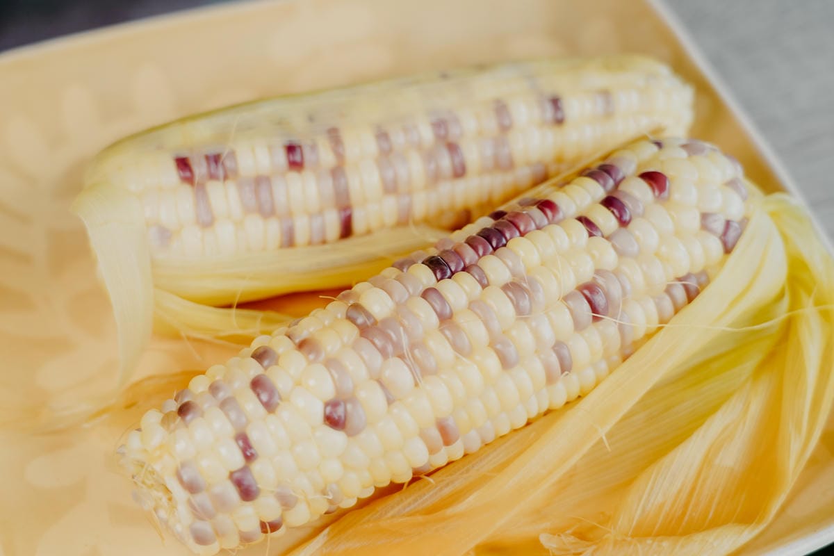 台南安平 糖糖の冬瓜檸檬和甕烤地瓜 充滿古早味的飲品 烤地瓜 紫香糯玉米 也是愛心貓中途之家23.JPG 台南安平 糖糖の冬瓜檸檬和甕烤地瓜 充滿古早味的飲品 烤地瓜 紫香糯玉米 也是愛心貓中途之家23.JPG