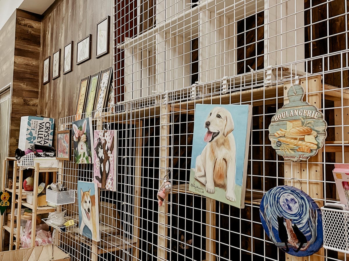 台南安平 糖糖の冬瓜檸檬和甕烤地瓜 充滿古早味的飲品 烤地瓜 紫香糯玉米 也是愛心貓中途之家29.JPG 台南安平 糖糖の冬瓜檸檬和甕烤地瓜 充滿古早味的飲品 烤地瓜 紫香糯玉米 也是愛心貓中途之家29.JPG