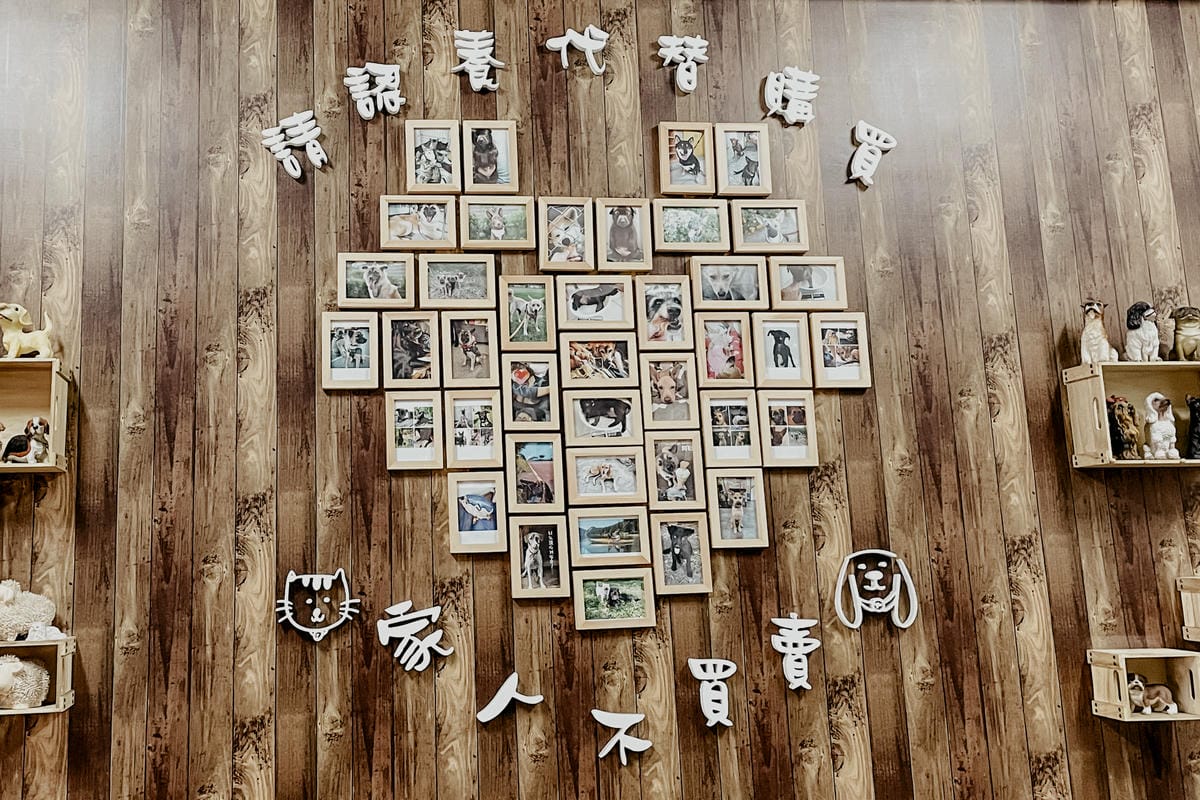 台南安平 糖糖の冬瓜檸檬和甕烤地瓜 充滿古早味的飲品 烤地瓜 紫香糯玉米 也是愛心貓中途之家28.JPG 台南安平 糖糖の冬瓜檸檬和甕烤地瓜 充滿古早味的飲品 烤地瓜 紫香糯玉米 也是愛心貓中途之家28.JPG