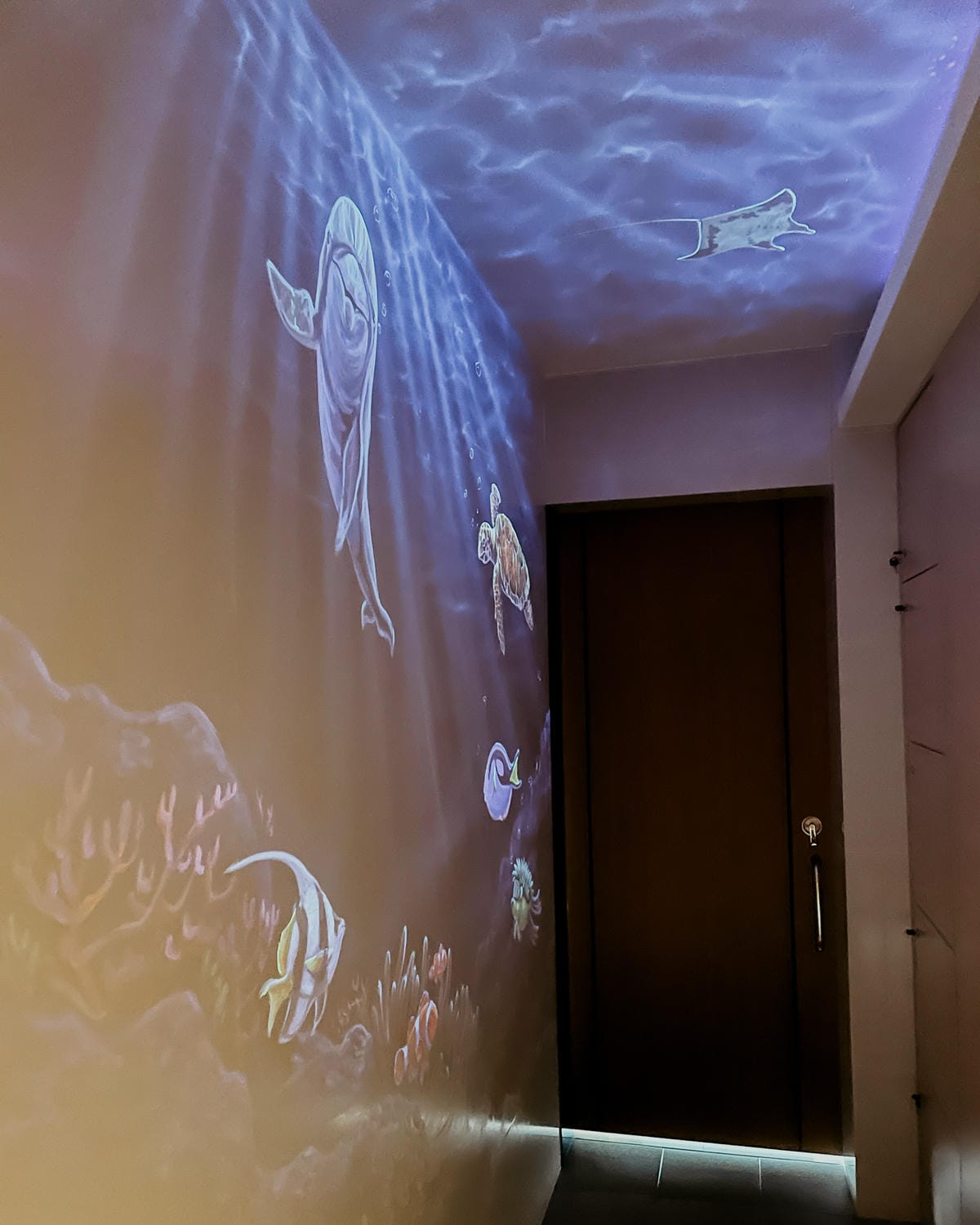 南科美食 圈子早午餐Coffee南科旗艦店 採光落地窗 手繪牆舒適用餐環境 紅酒牛肉 綜合拼盤 松露歐姆雷 咖哩豬排12A.jpg 南科美食 圈子早午餐Coffee南科旗艦店 採光落地窗 手繪牆舒適用餐環境 紅酒牛肉 綜合拼盤 松露歐姆雷 咖哩豬排12A.jpg