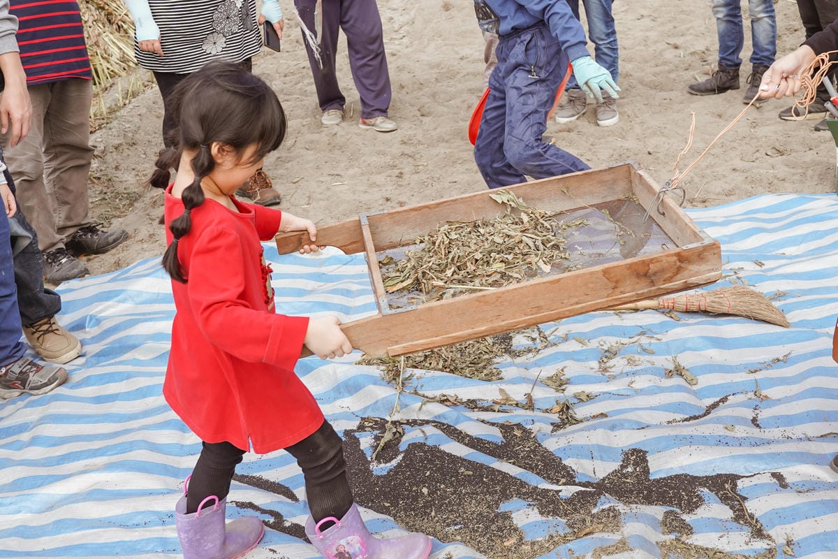 台南親子行程 2020國產雜糧十大經典體驗路線 西港區農會「西港農濃麻香手作體驗」一起到胡麻田中探索田園風光 體驗純樸農村美景46.jpg 台南親子行程 2020國產雜糧十大經典體驗路線 西港區農會「西港農濃麻香手作體驗」一起到胡麻田中探索田園風光 體驗純樸農村美景46.jpg