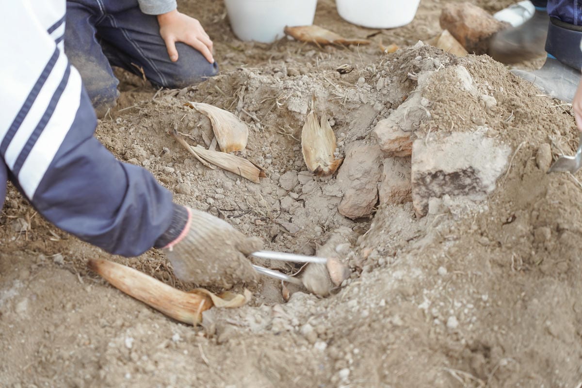 台南親子行程 2020國產雜糧十大經典體驗路線 西港區農會「西港農濃麻香手作體驗」一起到胡麻田中探索田園風光 體驗純樸農村美景66.jpg 台南親子行程 2020國產雜糧十大經典體驗路線 西港區農會「西港農濃麻香手作體驗」一起到胡麻田中探索田園風光 體驗純樸農村美景66.jpg