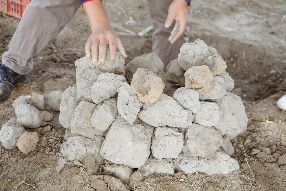 台南親子行程 2020國產雜糧十大經典體驗路線 西港區農會「西港農濃麻香手作體驗」一起到胡麻田中探索田園風光 體驗純樸農村美景7.jpg 台南親子行程 2020國產雜糧十大經典體驗路線 西港區農會「西港農濃麻香手作體驗」一起到胡麻田中探索田園風光 體驗純樸農村美景7.jpg