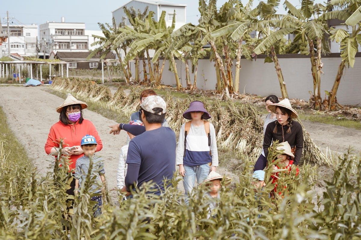 台南親子行程 2020國產雜糧十大經典體驗路線 西港區農會「西港農濃麻香手作體驗」一起到胡麻田中探索田園風光 體驗純樸農村美景34.jpg 台南親子行程 2020國產雜糧十大經典體驗路線 西港區農會「西港農濃麻香手作體驗」一起到胡麻田中探索田園風光 體驗純樸農村美景34.jpg