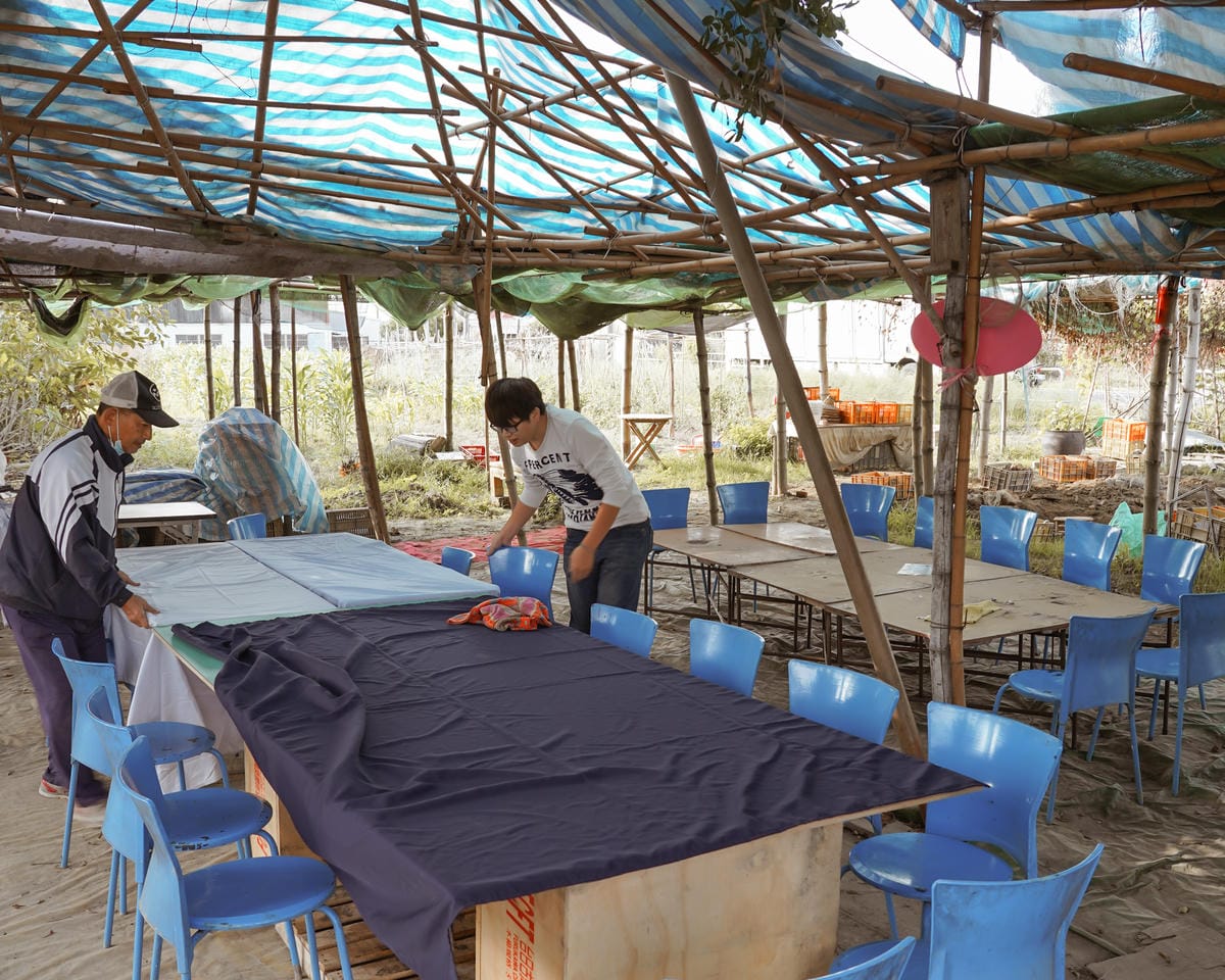 台南親子行程 2020國產雜糧十大經典體驗路線 西港區農會「西港農濃麻香手作體驗」一起到胡麻田中探索田園風光 體驗純樸農村美景3.jpg 台南親子行程 2020國產雜糧十大經典體驗路線 西港區農會「西港農濃麻香手作體驗」一起到胡麻田中探索田園風光 體驗純樸農村美景3.jpg