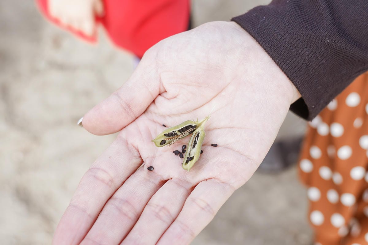 台南親子行程 2020國產雜糧十大經典體驗路線 西港區農會「西港農濃麻香手作體驗」一起到胡麻田中探索田園風光 體驗純樸農村美景38.jpg 台南親子行程 2020國產雜糧十大經典體驗路線 西港區農會「西港農濃麻香手作體驗」一起到胡麻田中探索田園風光 體驗純樸農村美景38.jpg