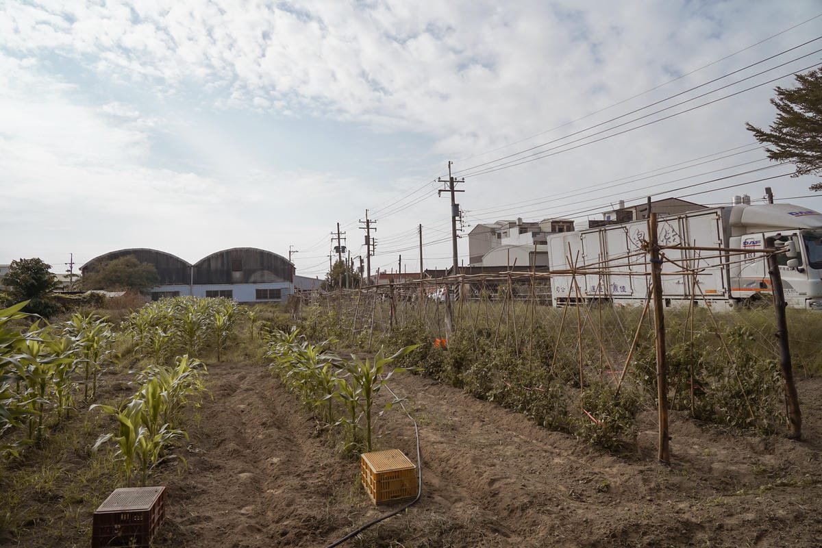 台南親子行程 2020國產雜糧十大經典體驗路線 西港區農會「西港農濃麻香手作體驗」一起到胡麻田中探索田園風光 體驗純樸農村美景15.jpg 台南親子行程 2020國產雜糧十大經典體驗路線 西港區農會「西港農濃麻香手作體驗」一起到胡麻田中探索田園風光 體驗純樸農村美景15.jpg