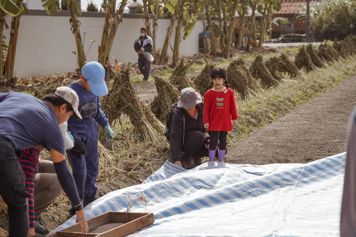 台南親子行程 2020國產雜糧十大經典體驗路線 西港區農會「西港農濃麻香手作體驗」一起到胡麻田中探索田園風光 體驗純樸農村美景43.jpg 台南親子行程 2020國產雜糧十大經典體驗路線 西港區農會「西港農濃麻香手作體驗」一起到胡麻田中探索田園風光 體驗純樸農村美景43.jpg
