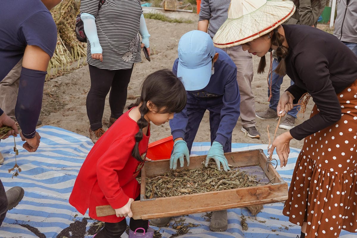 台南親子行程 2020國產雜糧十大經典體驗路線 西港區農會「西港農濃麻香手作體驗」一起到胡麻田中探索田園風光 體驗純樸農村美景47.jpg 台南親子行程 2020國產雜糧十大經典體驗路線 西港區農會「西港農濃麻香手作體驗」一起到胡麻田中探索田園風光 體驗純樸農村美景47.jpg