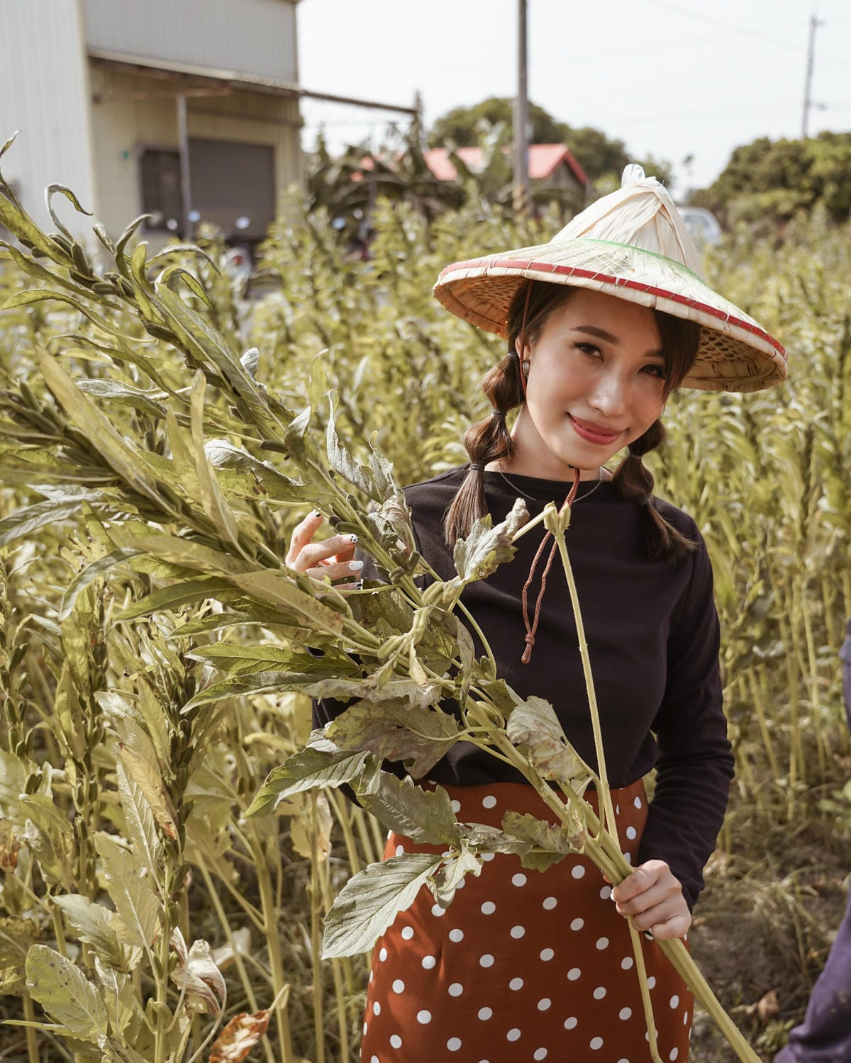 台南親子行程 2020國產雜糧十大經典體驗路線 西港區農會「西港農濃麻香手作體驗」一起到胡麻田中探索田園風光 體驗純樸農村美景41.jpg 台南親子行程 2020國產雜糧十大經典體驗路線 西港區農會「西港農濃麻香手作體驗」一起到胡麻田中探索田園風光 體驗純樸農村美景41.jpg