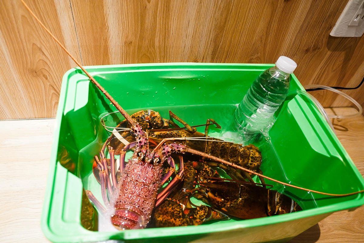 台南東區 真炙鐵板料理 享受主廚精緻鐵板美食 海陸套餐超美味 慶生 聚會餐廳推薦24.JPG 台南東區 真炙鐵板料理 享受主廚精緻鐵板美食 海陸套餐超美味 慶生 聚會餐廳推薦24.JPG