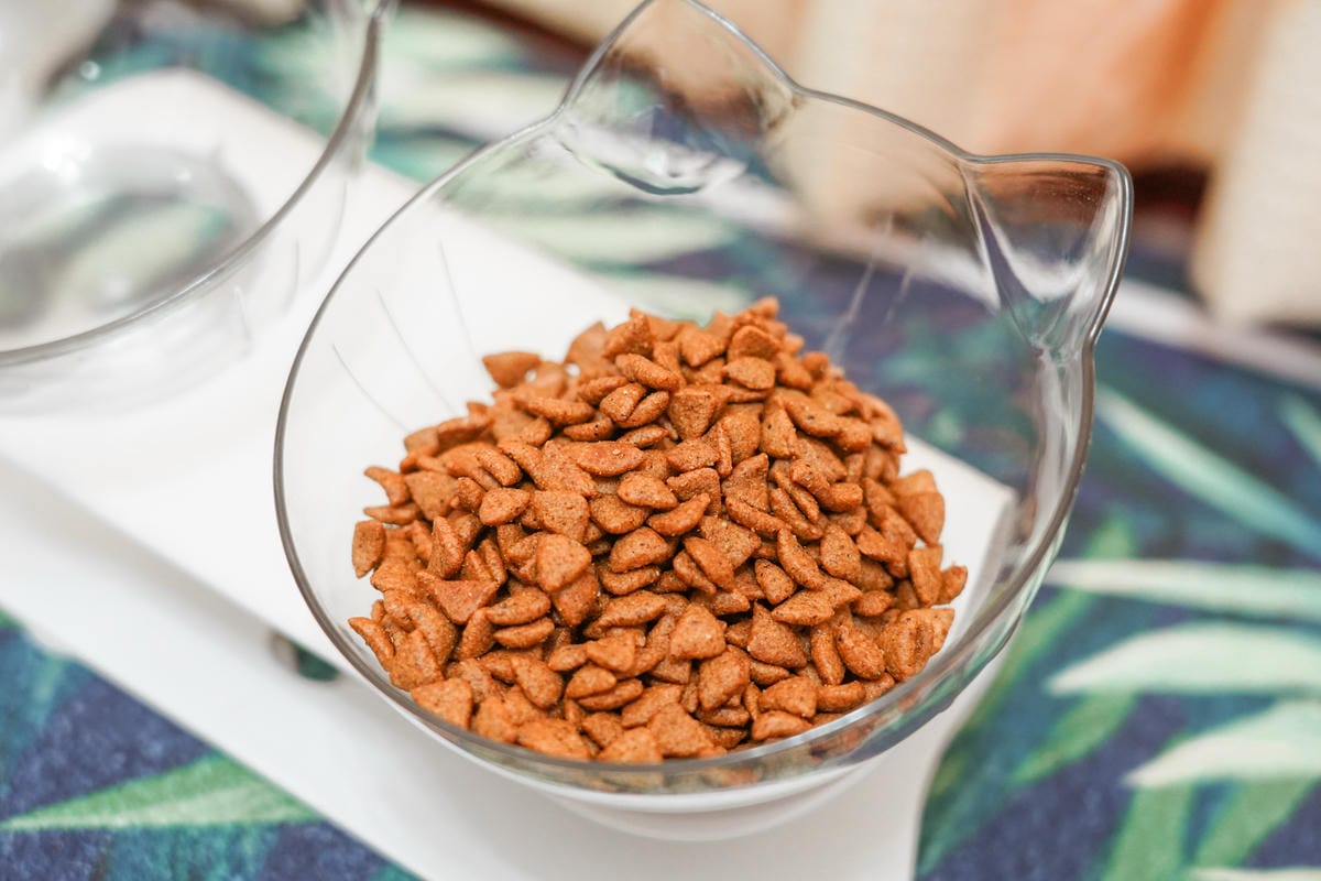 貓飼料推薦 優格寵物食譜 室內貓 雞肉＋米 嗜口性佳 益生菌添加 專為活動量較低的貓咪設計7A.jpg