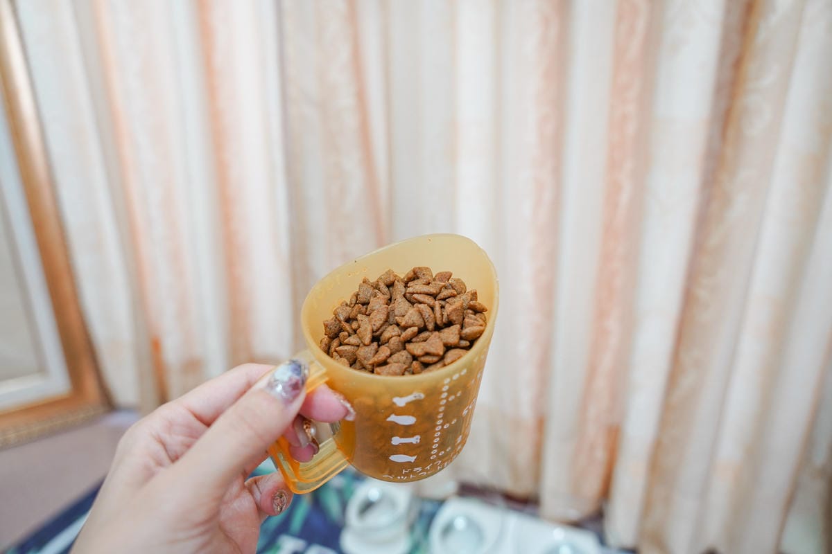 貓飼料推薦 優格寵物食譜 室內貓 雞肉＋米 嗜口性佳 益生菌添加 專為活動量較低的貓咪設計7.jpg