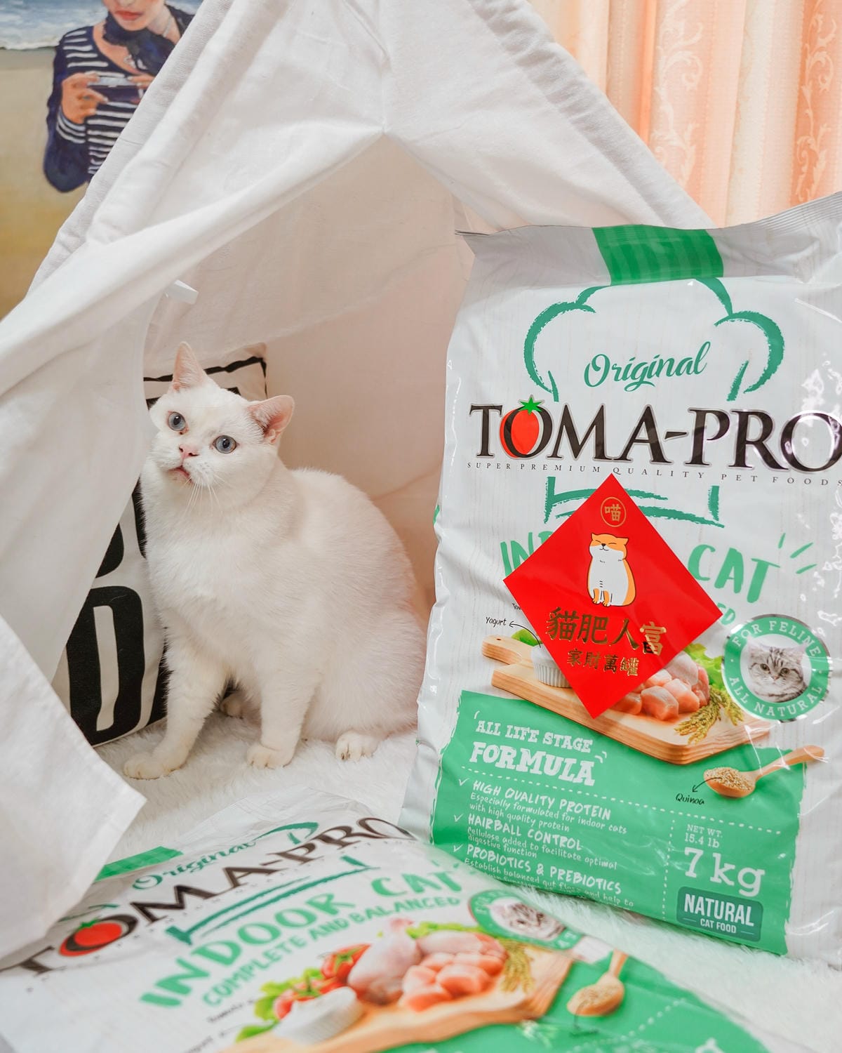 貓飼料推薦 優格寵物食譜 室內貓 雞肉＋米 嗜口性佳 益生菌添加 專為活動量較低的貓咪設計6.jpg