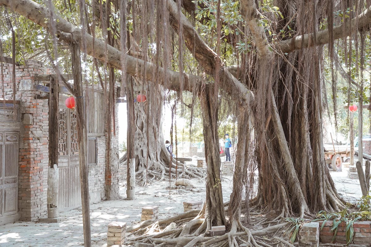 台南學甲景點 老塘湖藝術村 體驗宮廷古裝 悠遊復古懷舊古城 文內有優惠門票44.jpg 台南學甲景點 老塘湖藝術村 體驗宮廷古裝 悠遊復古懷舊古城 文內有優惠門票44.jpg
