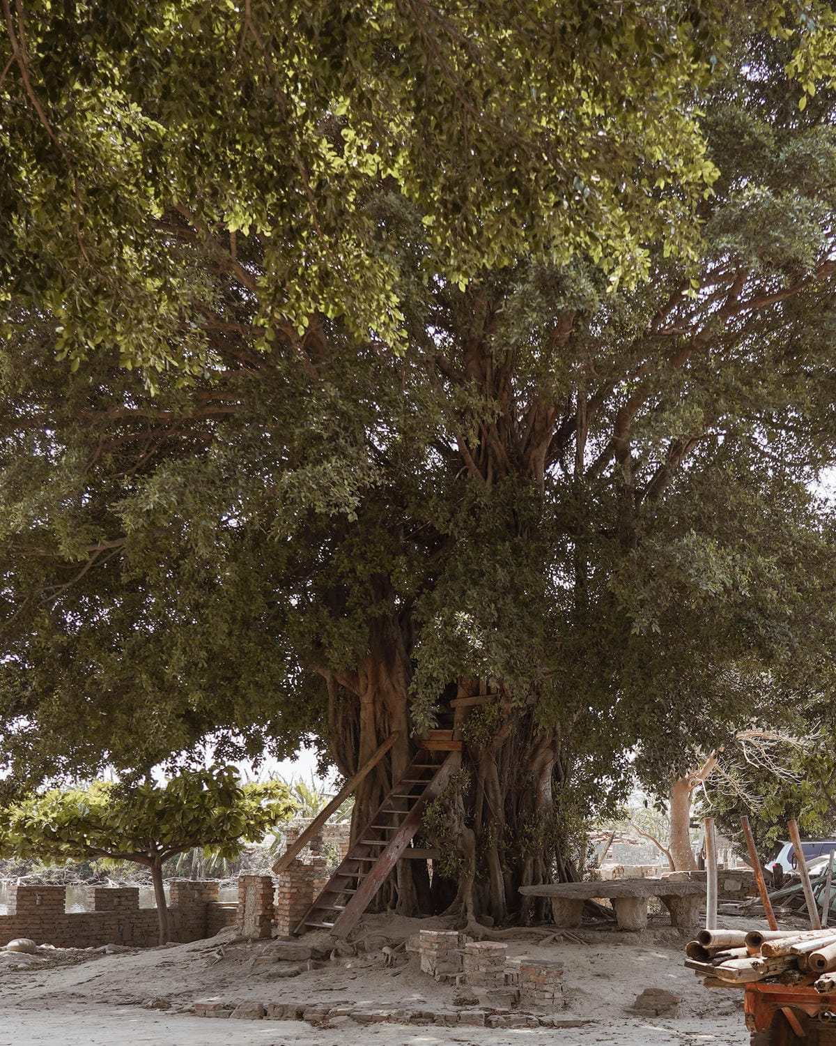 台南學甲景點 老塘湖藝術村 體驗宮廷古裝 悠遊復古懷舊古城 文內有優惠門票45.jpg 台南學甲景點 老塘湖藝術村 體驗宮廷古裝 悠遊復古懷舊古城 文內有優惠門票45.jpg