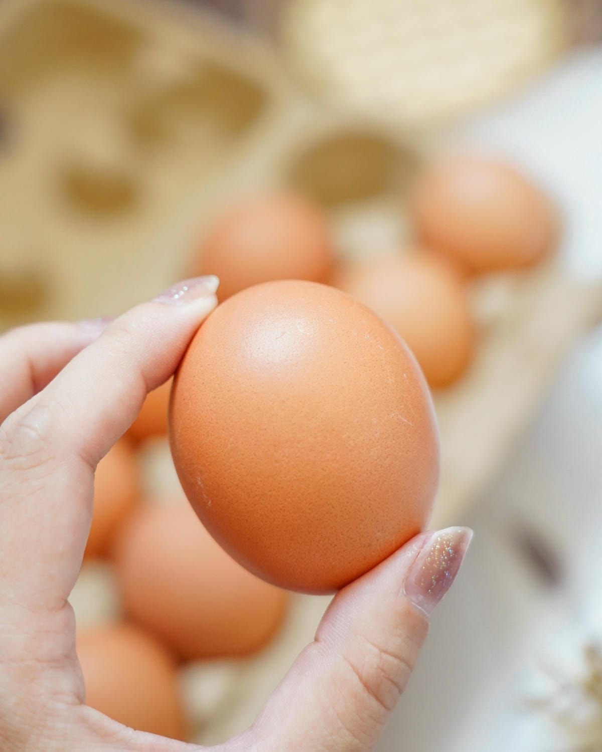 雞蛋料理 台美畜牧官田場 善好蛋 人道飼養用心好蛋 讓家人吃得更安心 #番茄炒蛋 #香菇海苔雞蛋捲7.JPG 雞蛋料理 台美畜牧官田場 善好蛋 人道飼養用心好蛋 讓家人吃得更安心 #番茄炒蛋 #香菇海苔雞蛋捲7.JPG