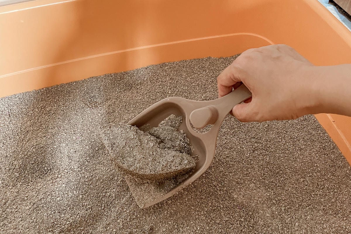 寵物居家環境清潔推薦 光能淨瞬間去味噴劑 +環淨去汙除臭噴劑+貓砂味立淨+地板清潔劑24.jpg