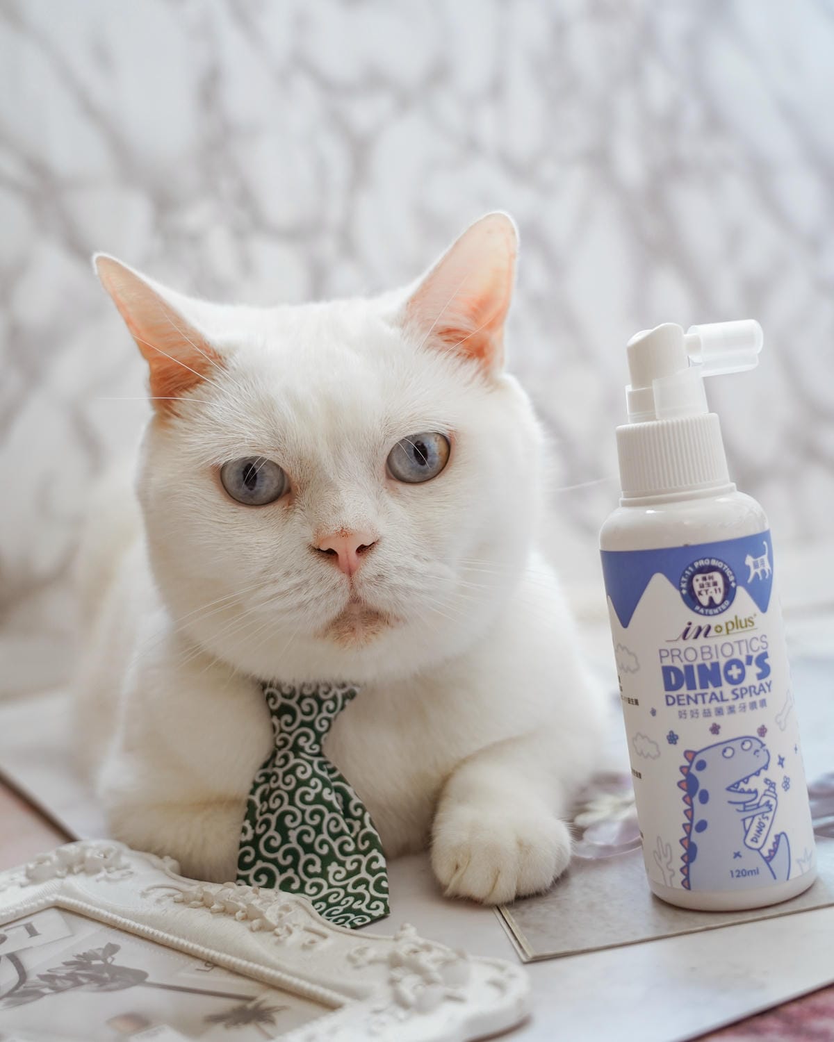 IN-Plus好好益菌潔牙噴噴 貓咪的口腔益生菌 給貓咪好口氣！寵物口腔保健牙齒保健也要做好５.JPG