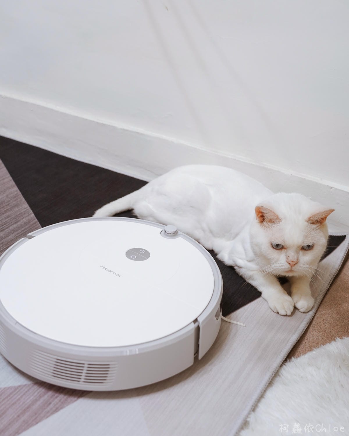 Roborock 石頭掃拖機器人E5 平價入門款開箱推薦51A.JPG Roborock 石頭掃拖機器人E5 平價入門款開箱推薦51A.JPG