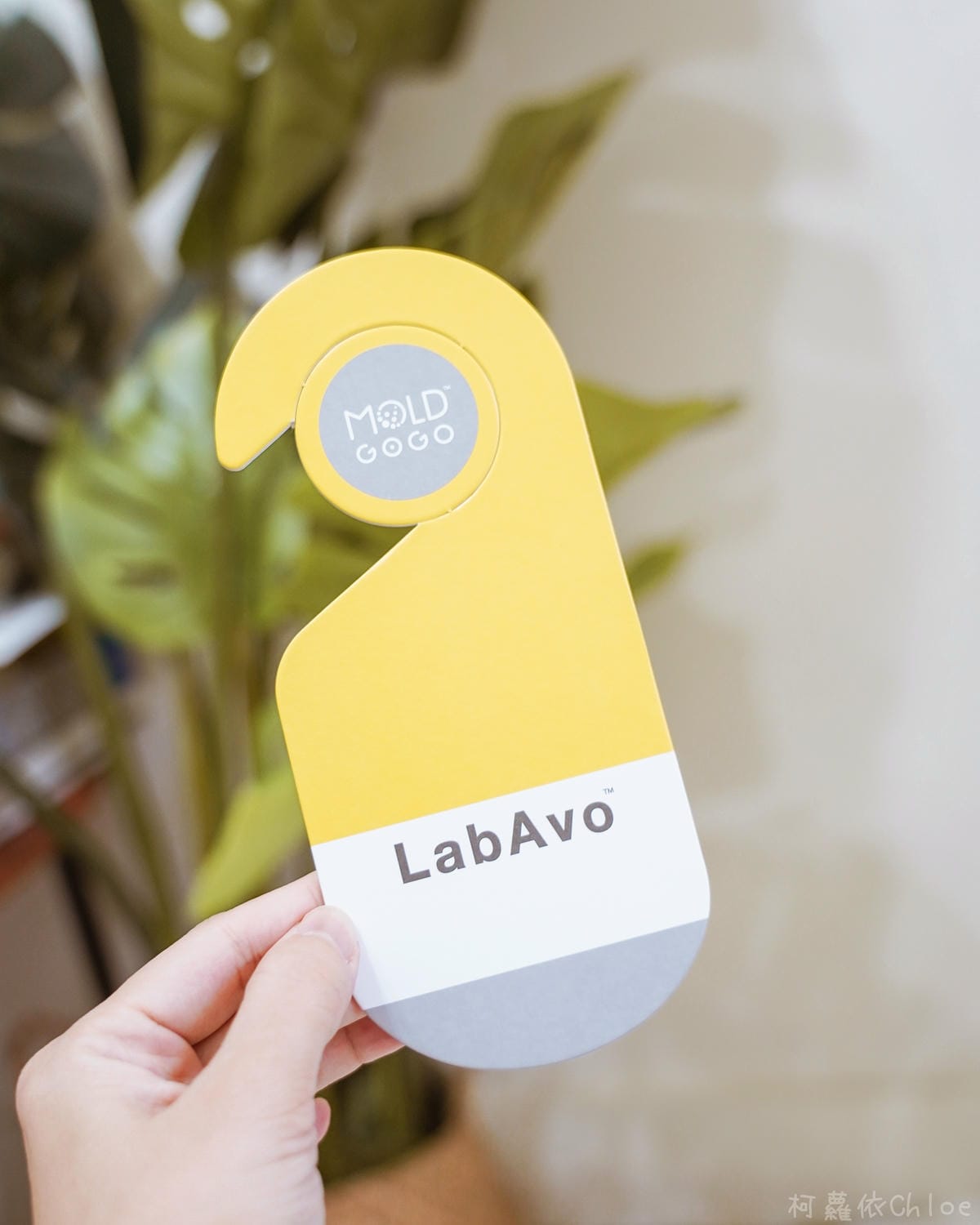 防霉神器推薦 LabAvo MoldGoGo防霉吊卡 打造生活美學防霉專家4.jpg 防霉神器推薦 LabAvo MoldGoGo防霉吊卡 打造生活美學防霉專家4.jpg