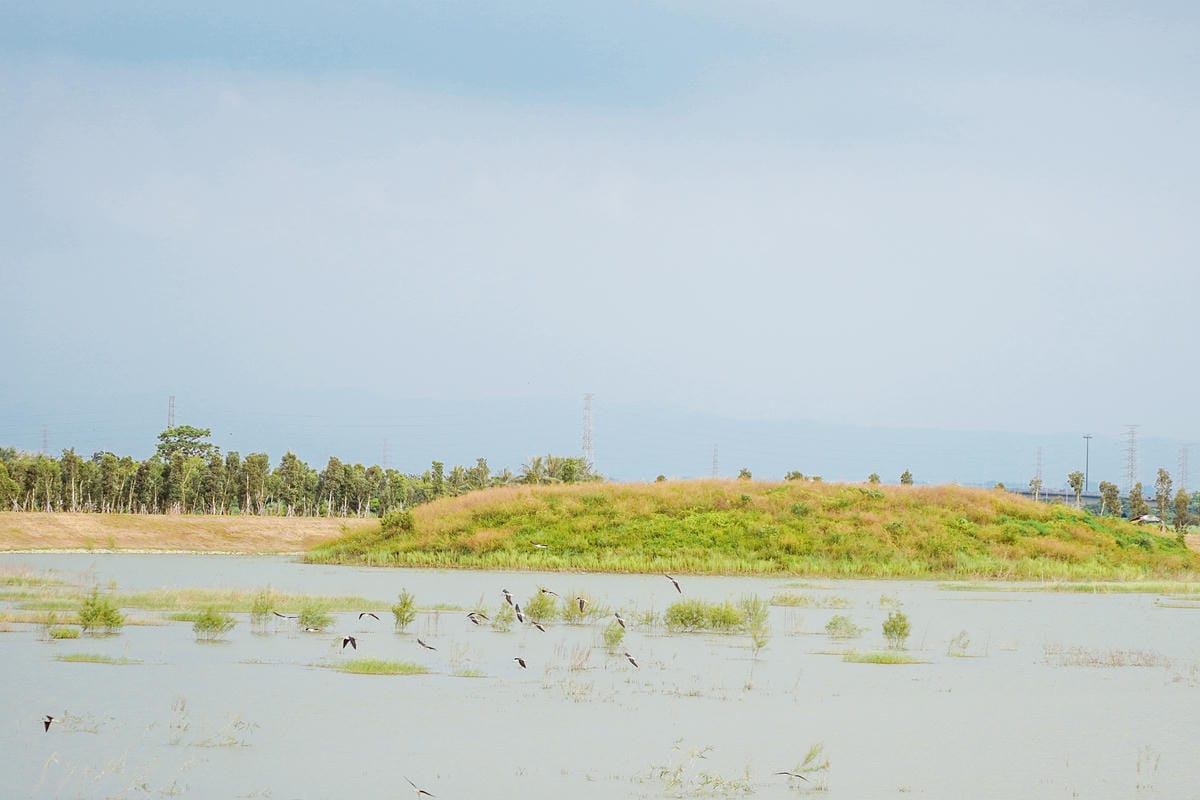台南景點 安順寮滯洪池 家庭旅遊打卡踩點新秘境16.jpg