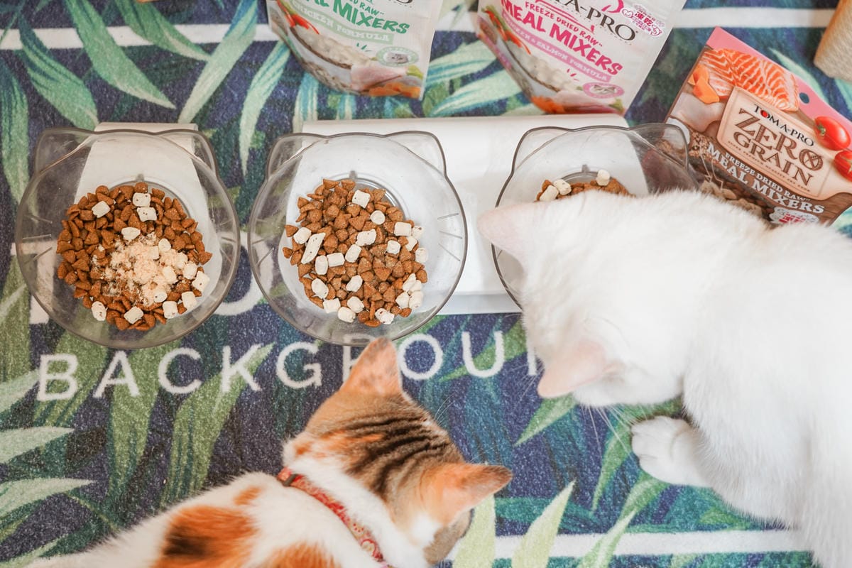 貓零食推薦 優格寵物食譜 鮮肉佐餐凍乾 嗜口性佳挑食貓咪也無法抗拒 餐餐美味化毛輔助23.jpg