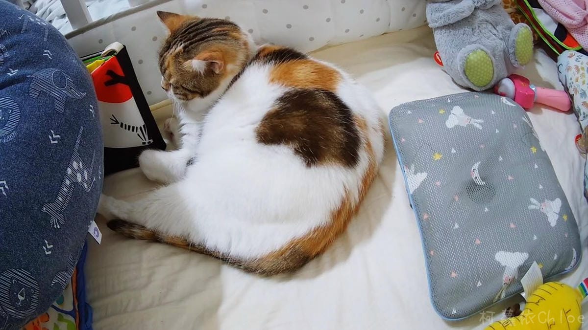 育兒用品 棒棒糖智慧型嬰兒監視器 時尚外型 安裝操作簡單 夜視 危險區域 哭聲偵測24.jpg 育兒用品 棒棒糖智慧型嬰兒監視器 時尚外型 安裝操作簡單 夜視 危險區域 哭聲偵測24.jpg