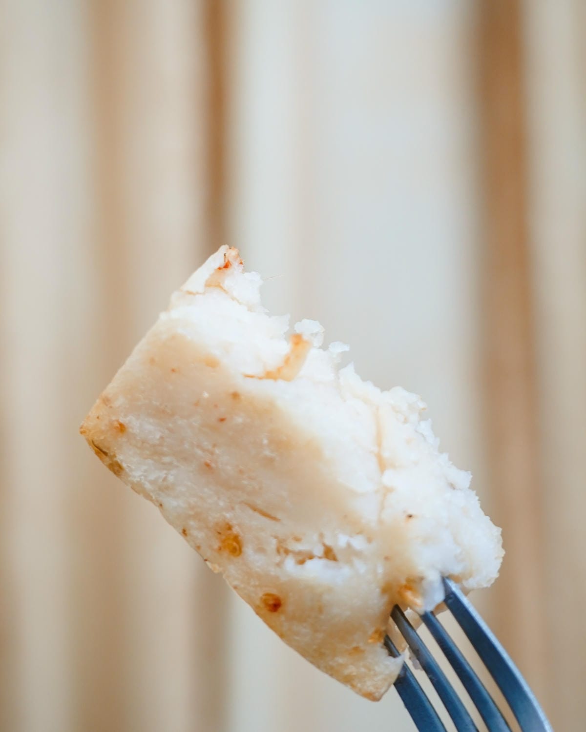 早安美芝城 蘿蔔糕預購開跑!春節年菜必吃蘿蔔糕 氣炸鍋料理好簡單21A.jpg 早安美芝城 蘿蔔糕預購開跑!春節年菜必吃蘿蔔糕 氣炸鍋料理好簡單21A.jpg