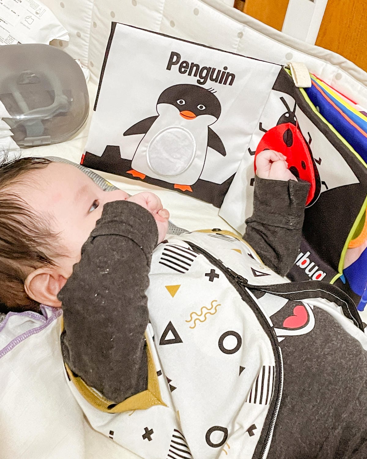 小牛津 育兒安撫神器開箱 365帽T熊故事機 布書 固齒器 企鵝寶貝 獨家首團114結團35.jpg 小牛津 育兒安撫神器開箱 365帽T熊故事機 布書 固齒器 企鵝寶貝 獨家首團114結團35.jpg