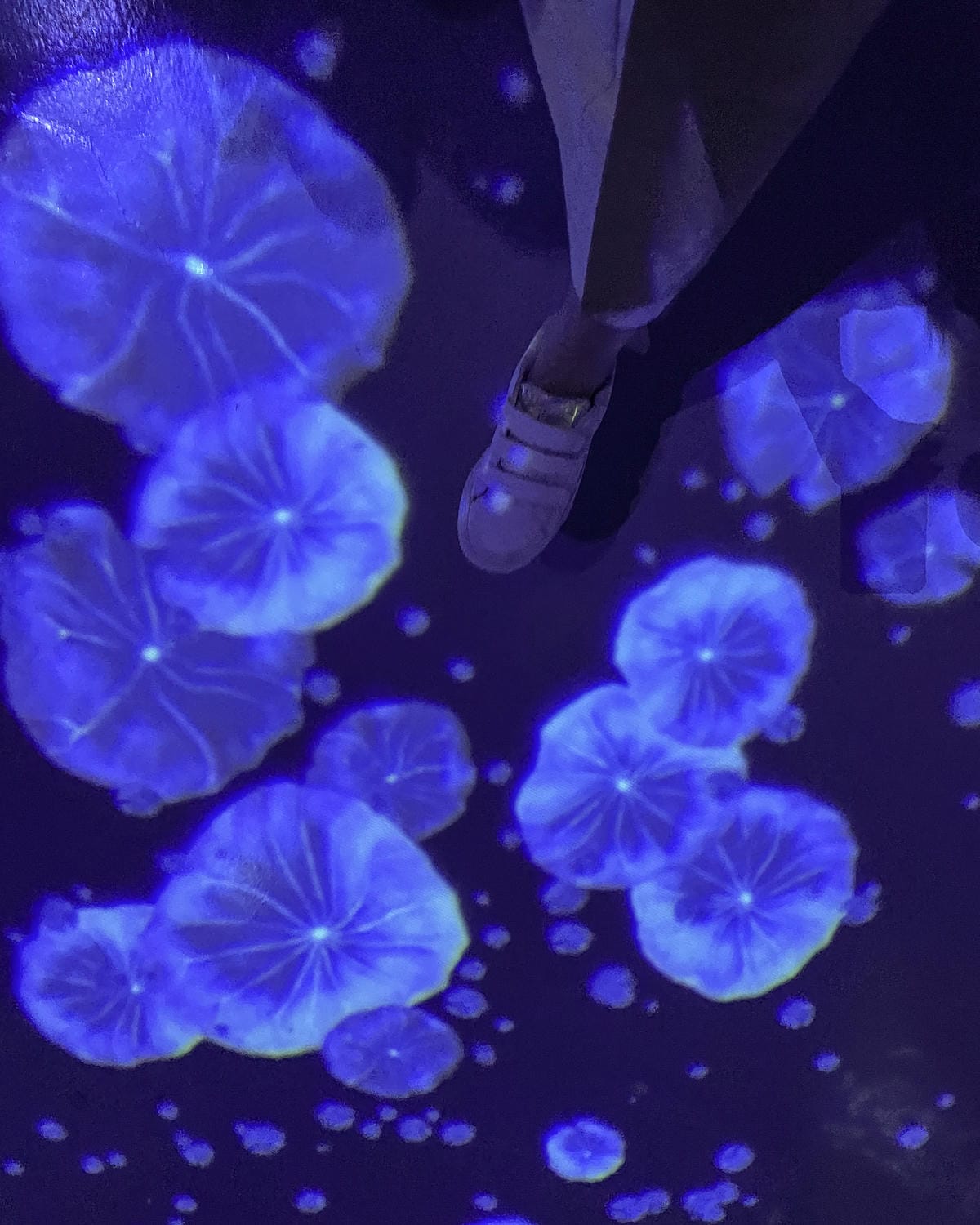 沈浸式劇院在高雄夢境現實 MR劇院 來一場奇幻的夢之旅 內有購票優惠17.jpg 沈浸式劇院在高雄夢境現實 MR劇院 來一場奇幻的夢之旅 內有購票優惠17.jpg