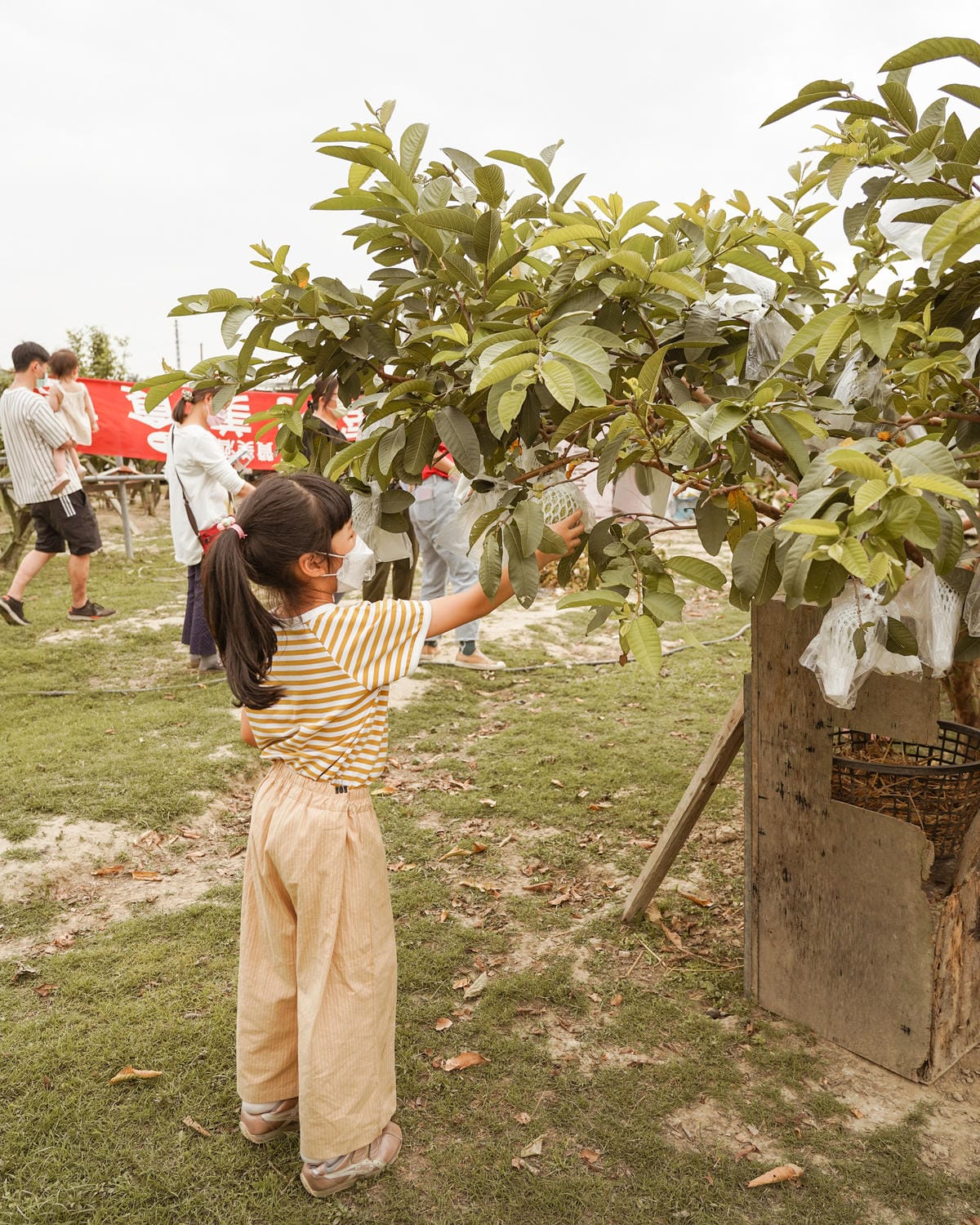 親子住宿推薦 南科贊美酒店 一泊二食烘窯釣魚好好玩 親子旅宿南部住宿推薦 近頑皮世界動物園74.jpg 親子住宿推薦 南科贊美酒店 一泊二食烘窯釣魚好好玩 親子旅宿南部住宿推薦 近頑皮世界動物園74.jpg