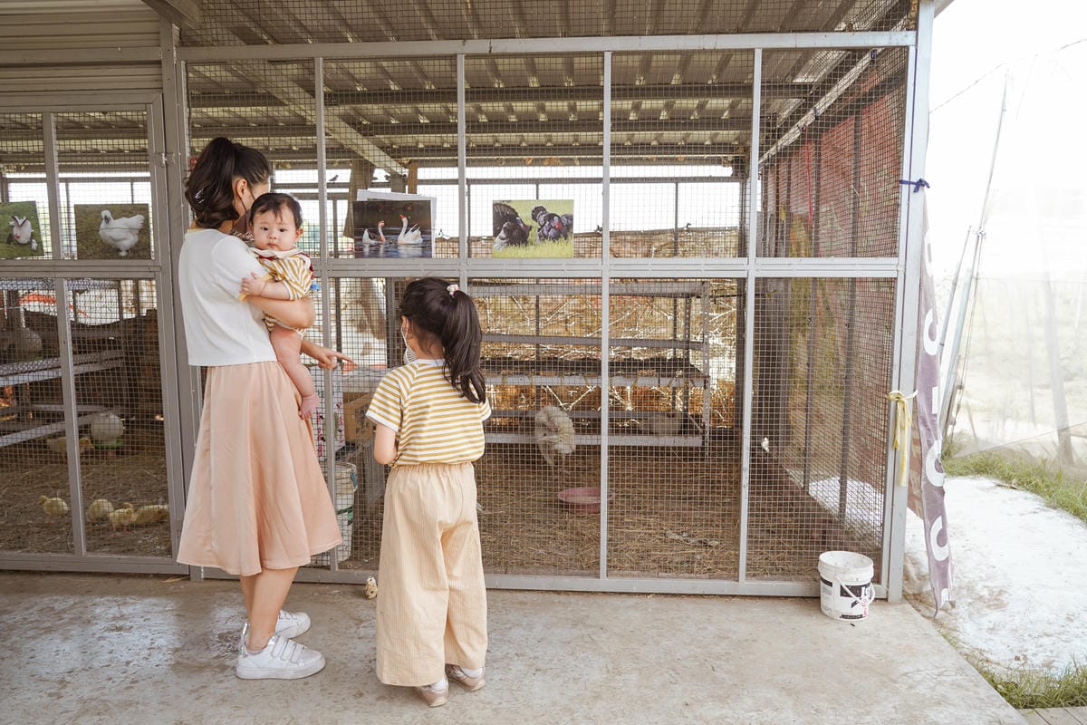親子住宿推薦 南科贊美酒店 一泊二食烘窯釣魚好好玩 親子旅宿南部住宿推薦 近頑皮世界動物園68.jpg 親子住宿推薦 南科贊美酒店 一泊二食烘窯釣魚好好玩 親子旅宿南部住宿推薦 近頑皮世界動物園68.jpg
