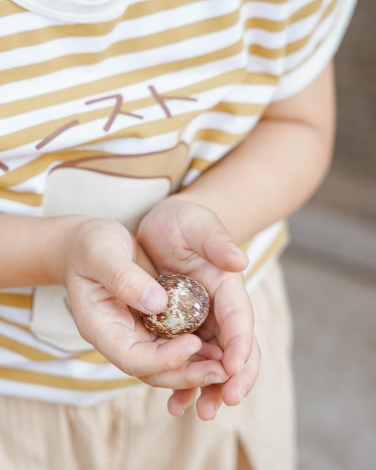 親子住宿推薦 南科贊美酒店 一泊二食烘窯釣魚好好玩 親子旅宿南部住宿推薦 近頑皮世界動物園71.jpg 親子住宿推薦 南科贊美酒店 一泊二食烘窯釣魚好好玩 親子旅宿南部住宿推薦 近頑皮世界動物園71.jpg