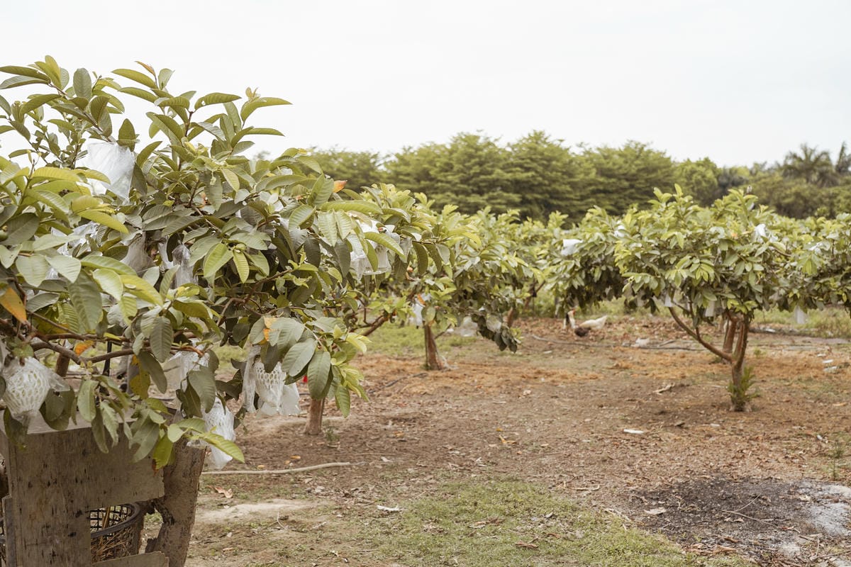 親子住宿推薦 南科贊美酒店 一泊二食烘窯釣魚好好玩 親子旅宿南部住宿推薦 近頑皮世界動物園73.jpg 親子住宿推薦 南科贊美酒店 一泊二食烘窯釣魚好好玩 親子旅宿南部住宿推薦 近頑皮世界動物園73.jpg