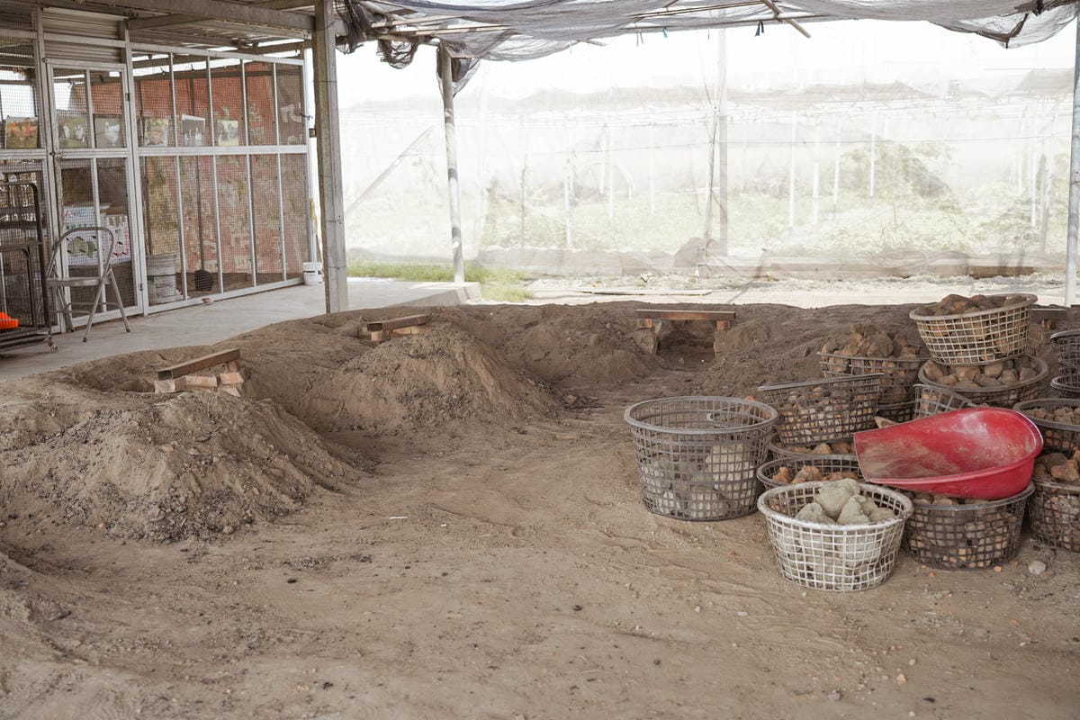 親子住宿推薦 南科贊美酒店 一泊二食烘窯釣魚好好玩 親子旅宿南部住宿推薦 近頑皮世界動物園55.jpg 親子住宿推薦 南科贊美酒店 一泊二食烘窯釣魚好好玩 親子旅宿南部住宿推薦 近頑皮世界動物園55.jpg